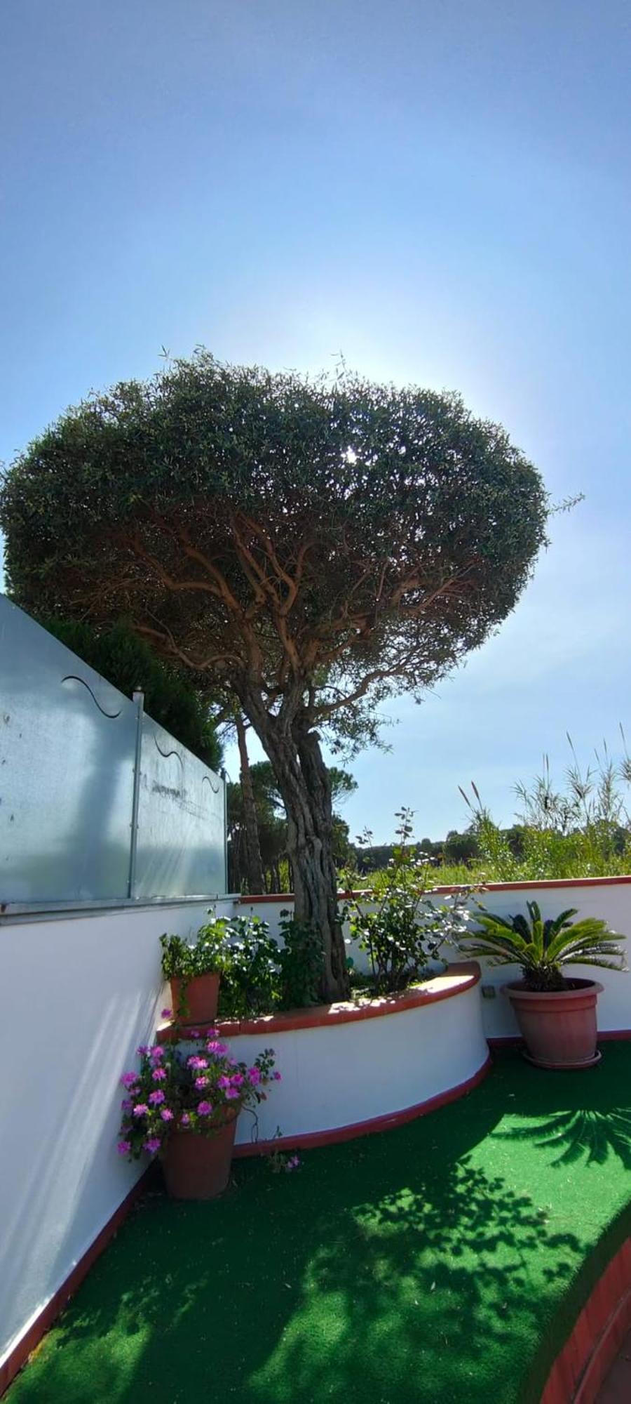 Hotel B&B Marina Capaccio Kültér fotó